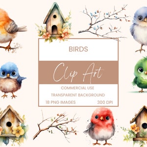 Birds Clip Art Pack Watercolour, Clipart or Commercial Use, Bird, Bird House, Branch, Wall Art Watercolour PNG