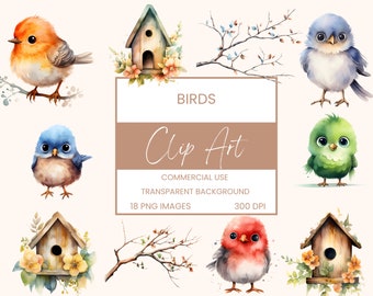 Birds Clip Art Pack Watercolour, Clipart or Commercial Use, Bird, Bird House, Branch, Wall Art Watercolour PNG