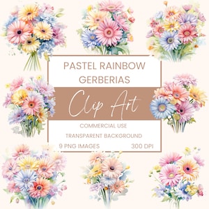Pastell Regenbogen Gerberia Warenkorb Clip Art Pack Aquarell , Clipart oder kommerzielle Nutzung, Bündel, Blumen, Wand Kunst Aquarell PNG