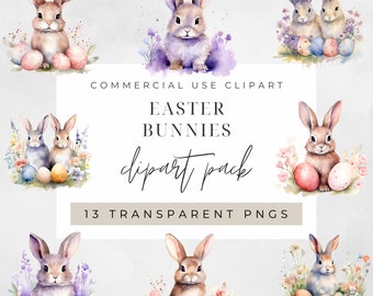 Watercolor Easter Bunny Clipart, Clipart for commercial use, Transparent PNGs, Pastel Pink and Purple Easter Eggs Floral