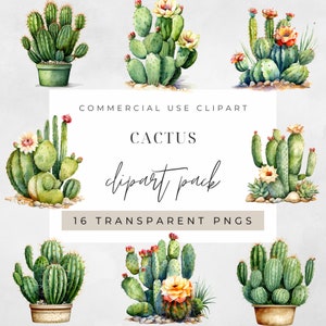 Cactus acuarela, imágenes prediseñadas para uso comercial, PNG transparentes, plantas, vegetación, desierto, acuarela