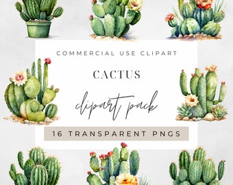 Watercolor Cactus Clipart, Clipart for commercial use, Transparent PNGs,  Plants Greenery Desert Watercolour