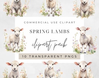 Watercolor Lamb Floral Clipart, Clipart for commercial use, Transparent PNGs, Baby Sheep Easter Flowers Pastel Watercolour