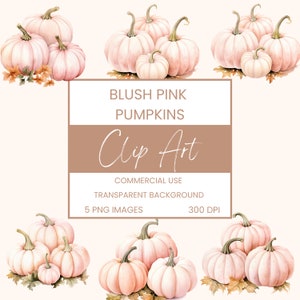 Blush Pink Pumpkins Clip Art Pack Watercolour, Clipart or Commercial Use, Pink Pumpkins Autumn Fall wall art Watercolour PNG