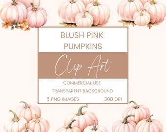 Blush Pink Kürbisse Clip Art Pack Aquarell, Clipart oder kommerzielle Nutzung, rosa Kürbisse Herbst Herbst Wandkunst Aquarell PNG