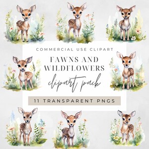 Rehkitz Hirsch mit Wildblumen Clipart PNG, Junk Journaling, Bundle, Wald Aquarell Wandkunst Kommerzielle Nutzung Digital Sofort Download