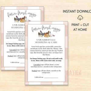 Tarjeta imprimible con instrucciones para el manejo de huevos // Tarjeta para huevos frescos de granja // Instrucciones para huevos // Instrucciones y manejo de huevos // Tarjeta imprimible con instrucciones para huevos