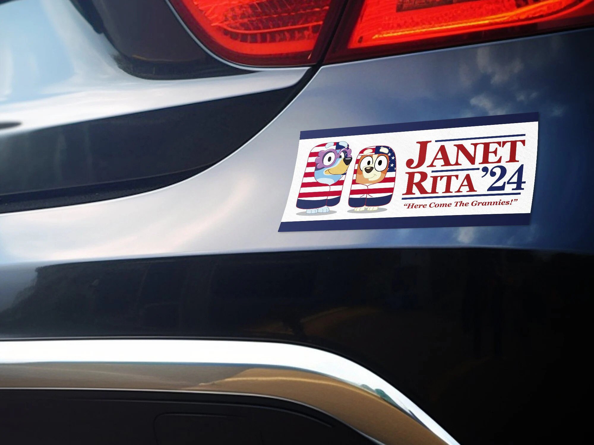 Janet And Rita 2024 Election Car Magnets, Blueydad