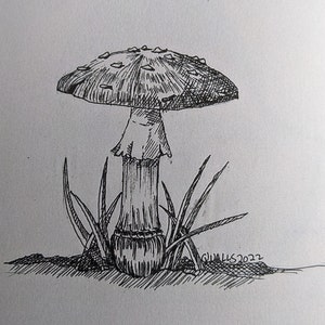 Mushroom
