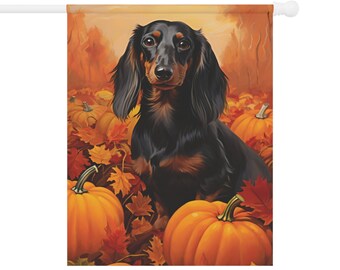 May include: A black and tan dachshund dog sitting in a field of fall leaves and pumpkins. The dog is looking directly at the viewer.