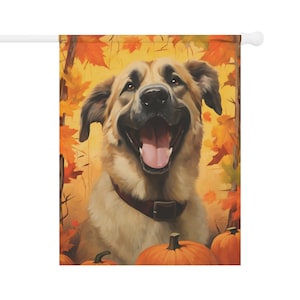 Puede incluir: Un perro marrón y tostado con una expresión feliz está rodeado de calabazas naranjas y hojas de otoño amarillas y naranjas.