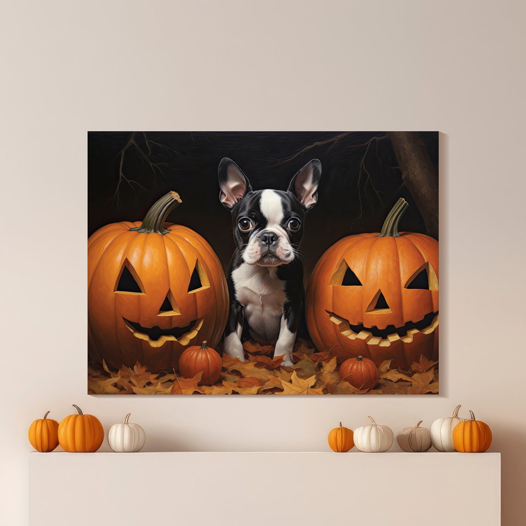 Boston Terrier Halloween Canvas Art: Pumpkin Pals Dog Print