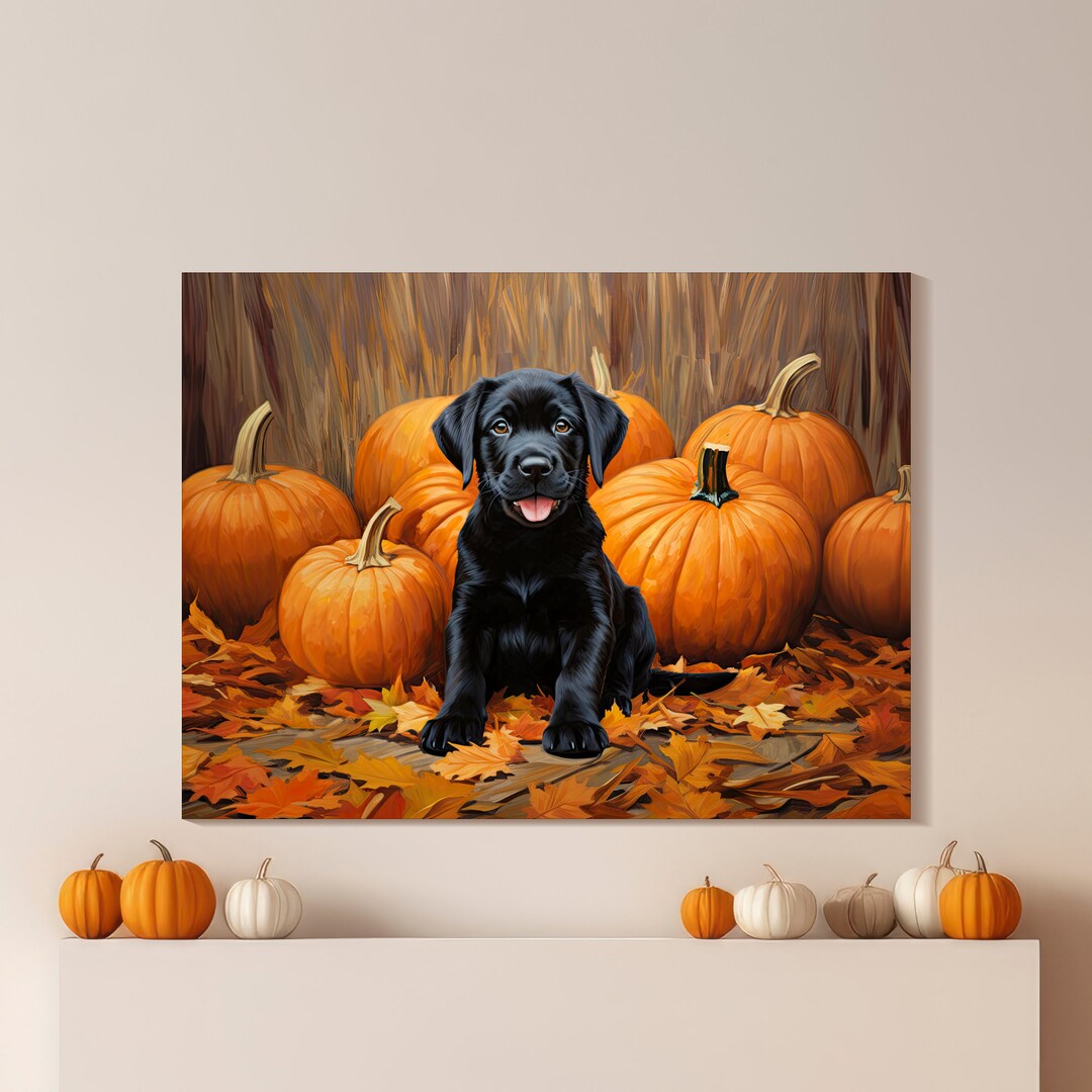 black-labrador-s-pumpkins-canvas-art-print-labrador-retriever-puppy