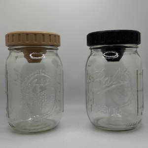 Mason Jar Fly Trap Lid 2-Pack - Natural Pest Control for Home & Outdoor