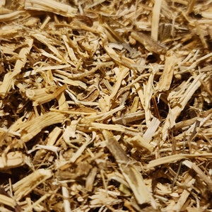 Organic Nettle root