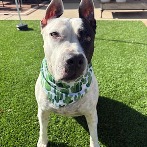 Saguaro Dog Bandana - cactus lover, saguaro, prickly pear, desert, succulent