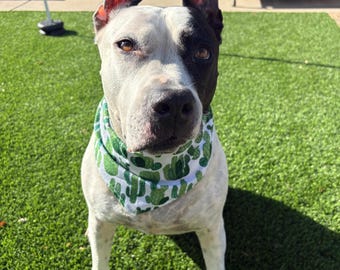Saguaro Dog Bandana - cactus lover, desert