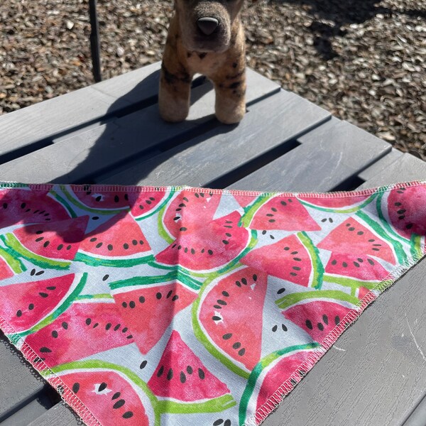 Watermelon Dog Bandana