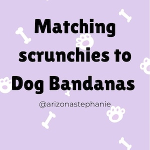 Matching Scrunchies to Dog Bandanas