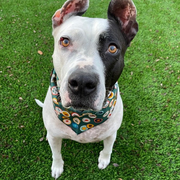 Camping Badges Dog Bandana