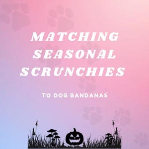 Matching Scrunchies to SEASONAL Dog Bandanas