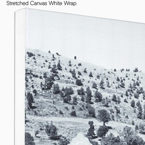 a black and white photo of trees on a hill