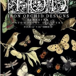 May include: Four 12" x 16" sheets of transfer paper featuring a black background with a variety of insects, birds, and plants in shades of green, brown, and white. The text "IRON ORCHID DESIGNS TRANSFER ENTOMOLOGY ETCETERA" is printed in white at the top of the sheet.