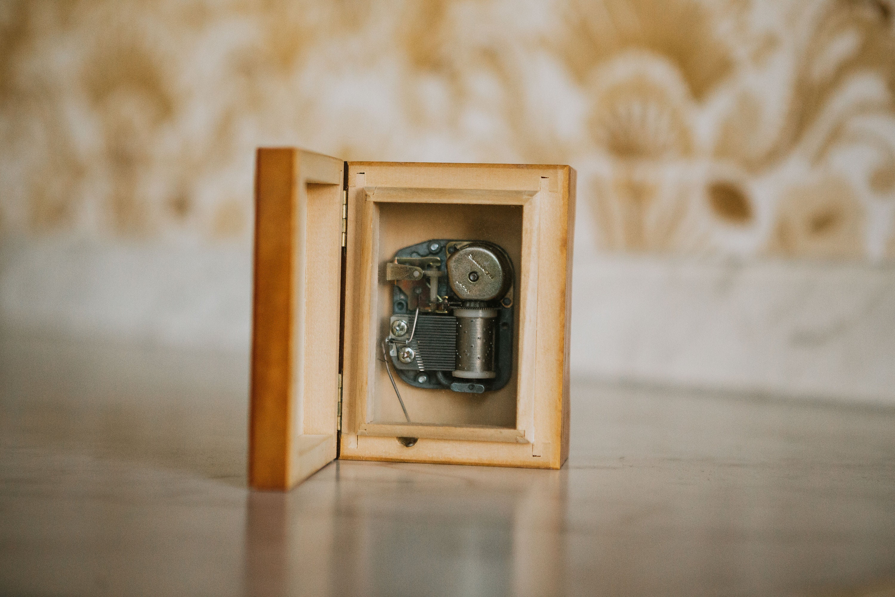 gallery photo