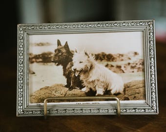 Sweet Vintage Scotties Framed Postcard | TWA Hardy Scots | FREE SHIPPING