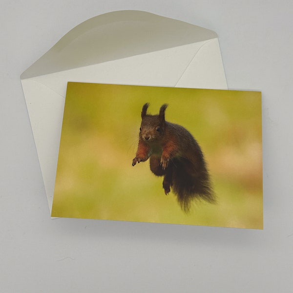 Red Squirrel Greetings Card and Envelope | Birthday | Just Because | Blank | Eco-Friendly Gift | Scottish Nature and Wildlife Card