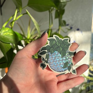 Puede incluir: Una pegatina que representa una bola de discoteca con una planta que crece. La pegatina tiene un efecto holográfico, con hojas verdes y un patrón de cuadrícula en la bola. El fondo incluye plantas verdes.