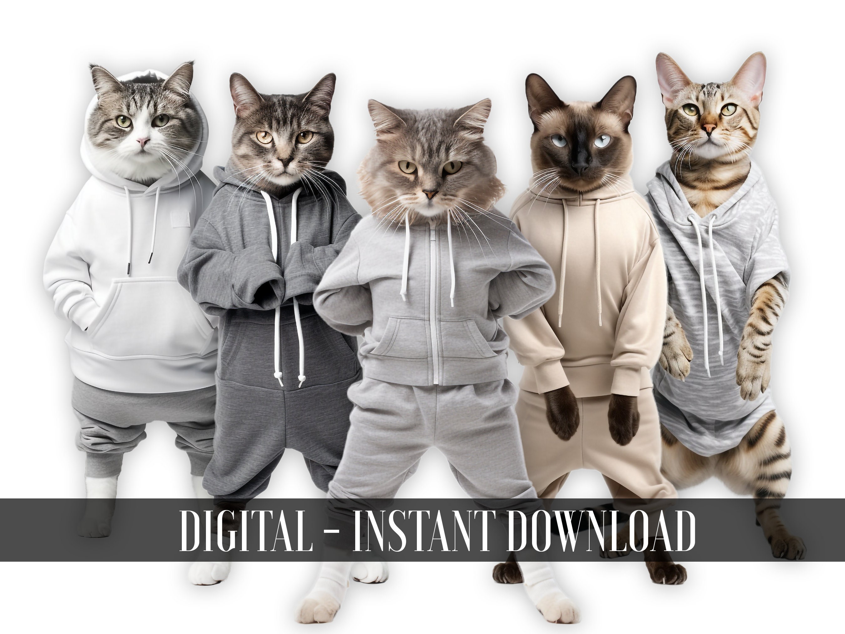 Sporty Cat in Suit Clipart Bundle, [full Body] Cats Wearing Sporty ...