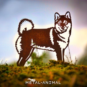 Shiba Inu - garden statue - corten steel - full size
