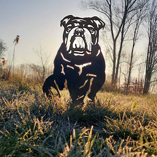 Englische Bulldogge – Gartenstatue aus Cortenstahl – Originalgröße