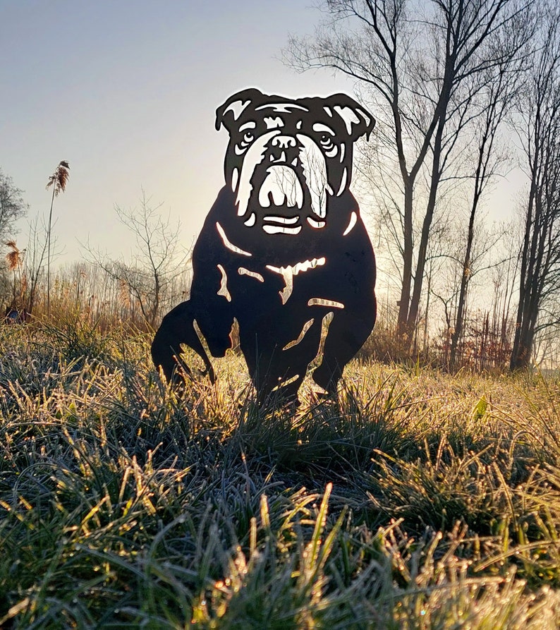 Bouledogue anglais statue de jardin en acier corten taille réelle image 1