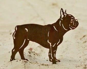 Bouledogue français - statue de jardin en acier corten - taille réelle