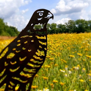 hawk - garden statue - corten steel - full size