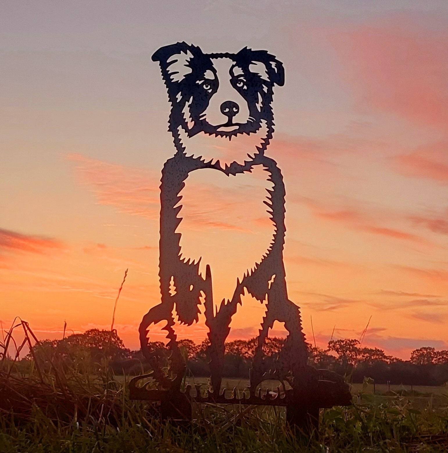 Australian Shepherd Garden Statue Corten Steel Full Size Etsy