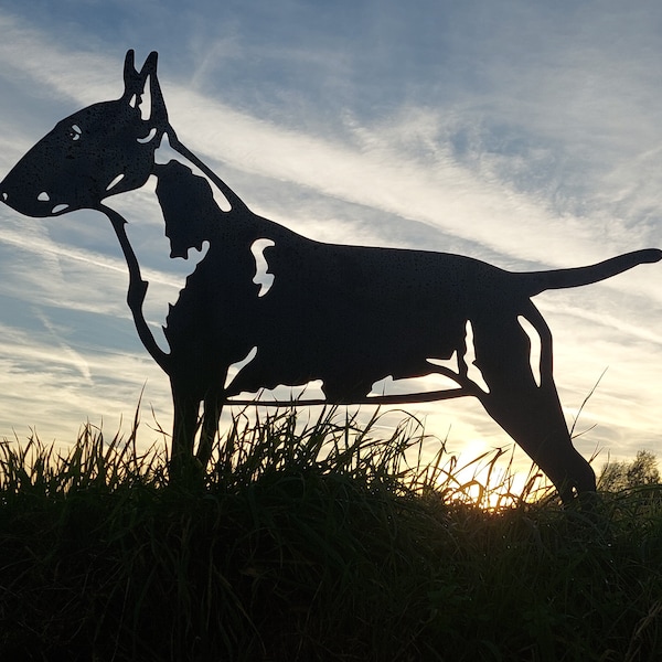 Bull terrier - statue de jardin - acier corten - taille réelle