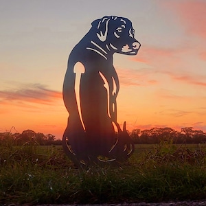 Könnte beinhalten: Silhouette eines schwarzen Hundes, der in einem Feld bei Sonnenuntergang sitzt. Der Hund ist aus Metall und ist eine Gartendekoration.