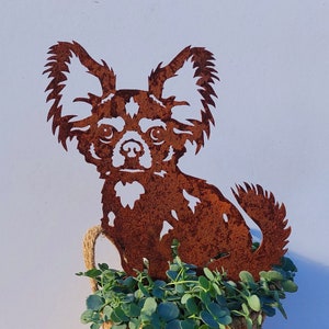 Chihuahua - garden statue made of corten steel - full size