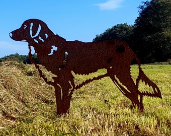 Nova scotia duck tolling retriever - statue de jardin en acier corten - pleine grandeur