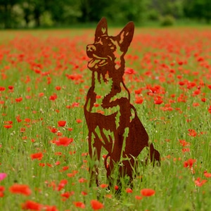 Malinois - Corten steel malinois - full size