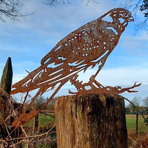 Könnte beinhalten: Eine rostige Metallsculptur eines Habichts, der auf einem Holzpfosten sitzt. Der Habicht blickt nach rechts und hat seine Flügel ausgebreitet. Die Skulptur steht im Freien und der Hintergrund ist ein blauer Himmel mit einigen Wolken.