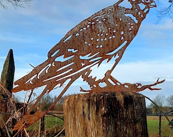 faucon - statue de jardin - acier corten - taille réelle