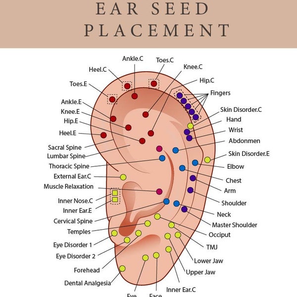 Tableau de placement des graines d’oreille imprimable | Guide complet des diagrammes auriculaires d'acupuncture | Tableau de semis des oreilles, aide à placer les graines des oreilles, aide-mémoire