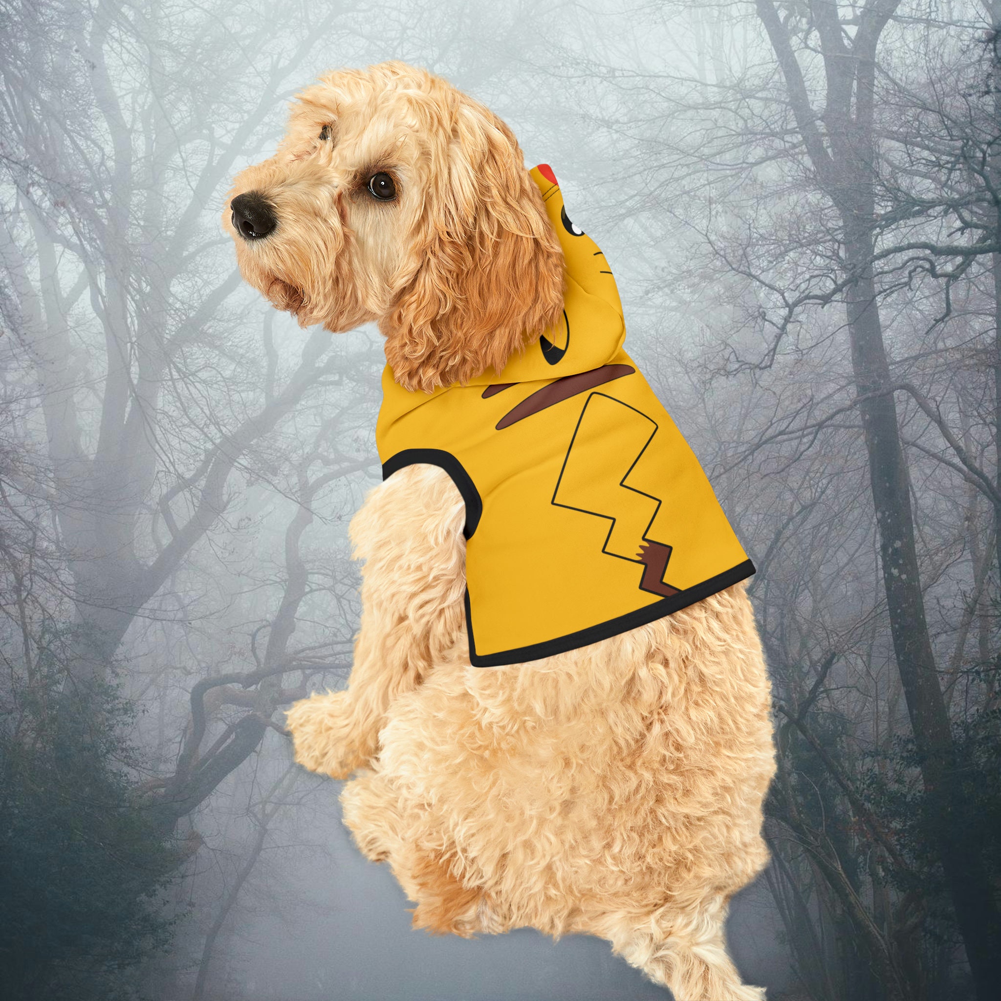 Costume Pikachu pour chien - ABC chiens