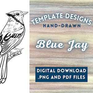 May include: A black and white line drawing of a blue jay perched on a branch. The image is labeled "TEMPLATE DESIGNS HAND-DRAWN Blue Jay DIGITAL DOWNLOAD .PNG AND PDF FILES".