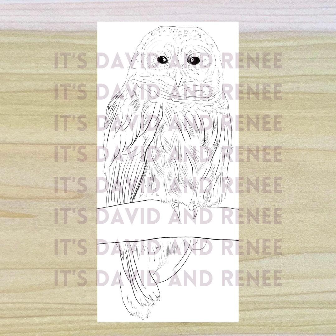 Barred Owl Wildlife PNG Digital File // Art Pattern, Pyrography ...