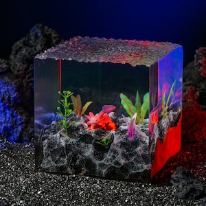 Axolotl Night Light, Ocean Epoxy lamp,  Axolotl Diorama Lamp, Wood Resin Lamp, Home Decor, Birthday Gift